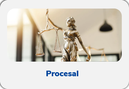 Procesal